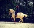 Cours et stages d'équitation